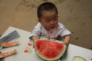 小哥俩吃瓜趣事  第2张