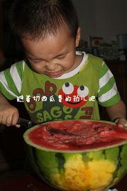 小哥俩吃瓜趣事  第3张