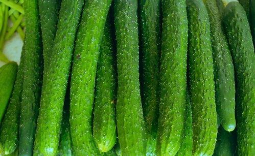 吃瓜就吃好瓜,尽享“吃瓜就吃好瓜”的夏日盛宴  第1张