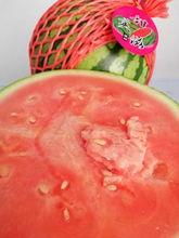 云南吃瓜季节文章 第1张 云南吃瓜季节文章 第1张