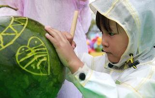 浙江吃瓜男女,揭秘网络热词背后的社交现象  第3张