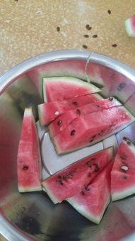 吃瓜吃哪头,吃瓜吃哪头,竟成社交新话题 第3张 吃瓜吃哪头,吃瓜吃哪头,竟成社交新话题 第3张