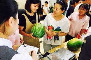 吃瓜群众4505,一场全民参与的娱乐盛宴  第2张