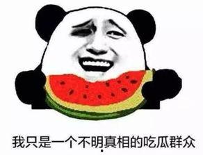 穿越成吃瓜群众全文,笑看娱乐圈风云变幻