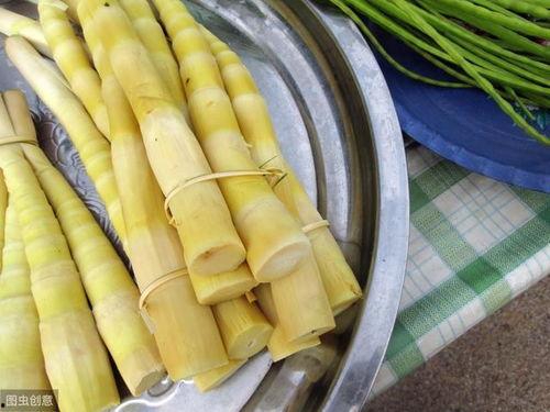 福宝吃笋吃瓜视频,笋与瓜的味蕾之旅