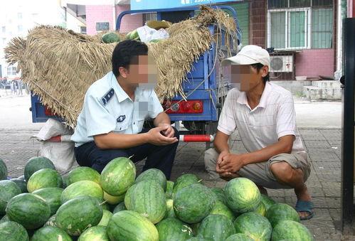 许昌吃瓜行程图