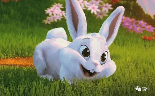 兔崽baby吃瓜,揭秘娱乐圈幕后真相