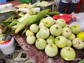 三乡吃瓜群众美食,美食盛宴等你来尝
