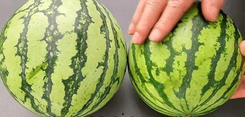 吃瓜的不急看瓜的急,不急吃瓜与急看瓜的众生相