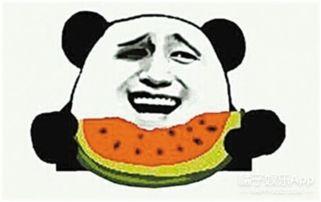 鹦鹉吵架吃瓜群众