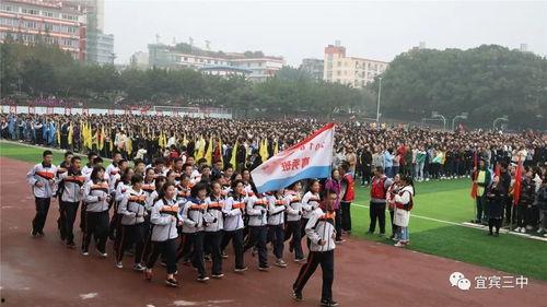 桂林三中吃瓜,校园吃瓜背后的故事与真相