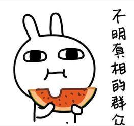 搞笑吃瓜系统文