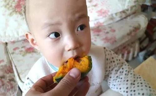 贝贝吃冷瓜,冷瓜美食之旅