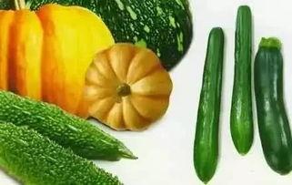 幽灵宝吃瓜,揭秘娱乐圈背后的秘密与真相