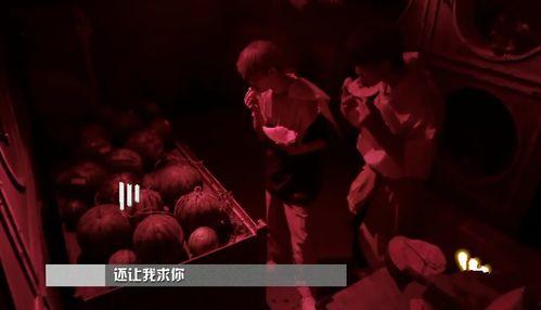 吃瓜密室大逃脱,一场惊心动魄的逃脱冒险之旅