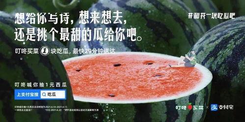 吃瓜画饼文案短句,轻松解读生活百态