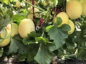 周未吃瓜,娱乐圈新鲜事大盘点