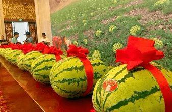 吃瓜被骗缅甸,一场跨境诈骗的黑色产业链