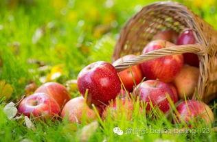 有瓜吃瓜下一句