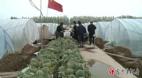 宿迁最近吃瓜事件,揭秘近期网络热议事件背后的真相