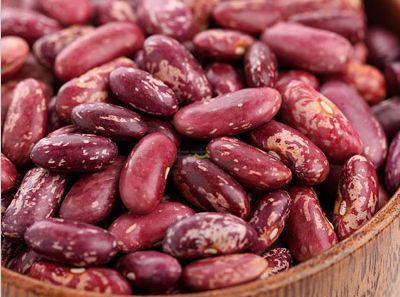 吃瓜先种豆,揭秘瓜农的辛勤耕耘之路