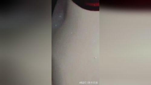 吃瓜在车底下,一场意外的冒险之旅