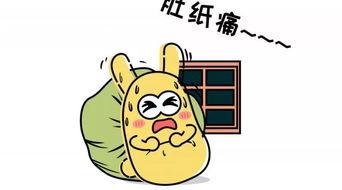吃瓜中间派,中立视角下的娱乐圈风云